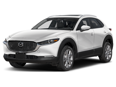 2026 Mazda Mazda CX-30 2.5 S Premium AWD