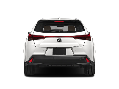 2023 Lexus UX 250h Premium